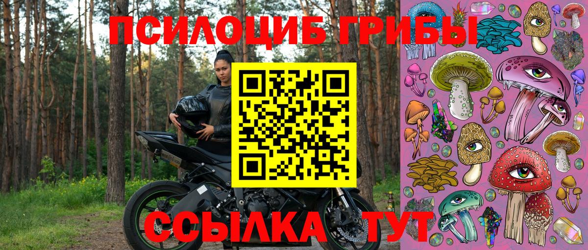 Сорочинск  продажа наркотиков  Псилоцибиновые грибы мухоморы  Вход с VPN  Галлюциногенные грибы прущие грибы 